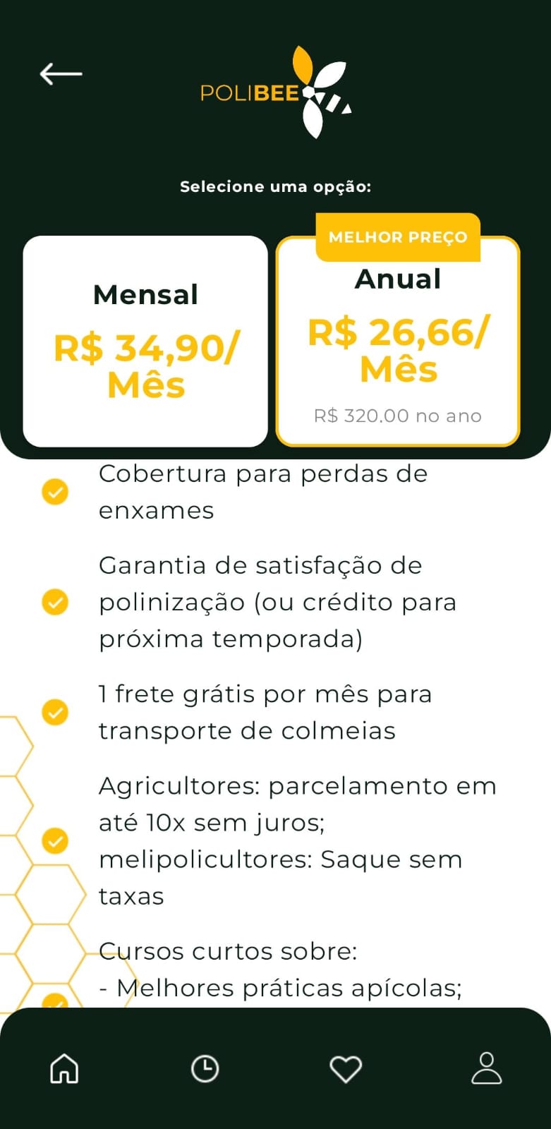 Ilustração de Abelha Rainha coroada com mel e flores